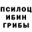 Галлюциногенные грибы GOLDEN TEACHER Liubov Shepelenko